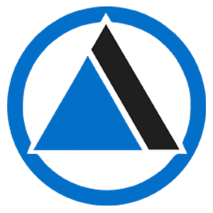 AVINT Logo